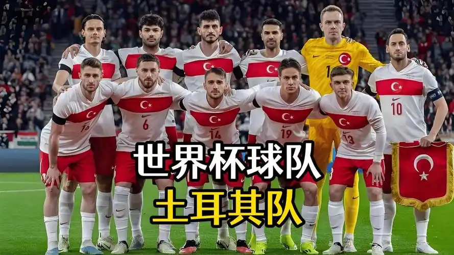 世界杯D组大混战：土耳其新黄金一代崛起，四强争锋悬念拉满